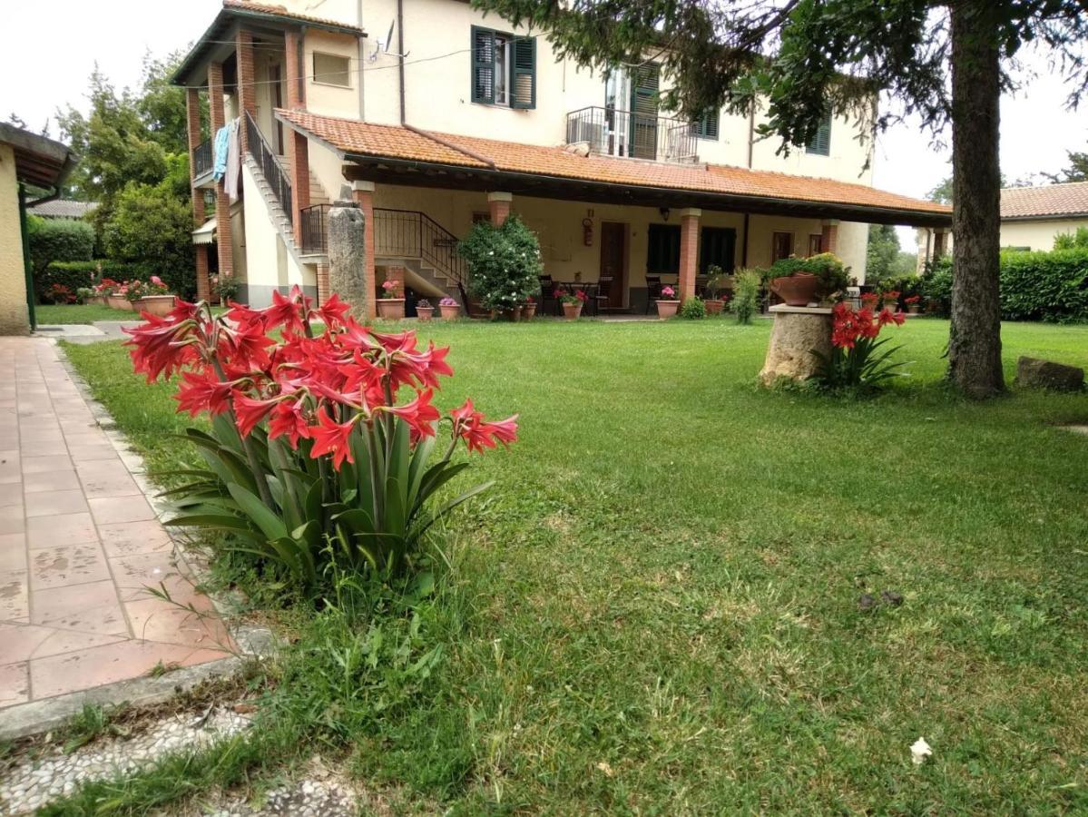 Agriturismo Le Chicche Di Mafalda มอนเตเมราโน ภายนอก รูปภาพ