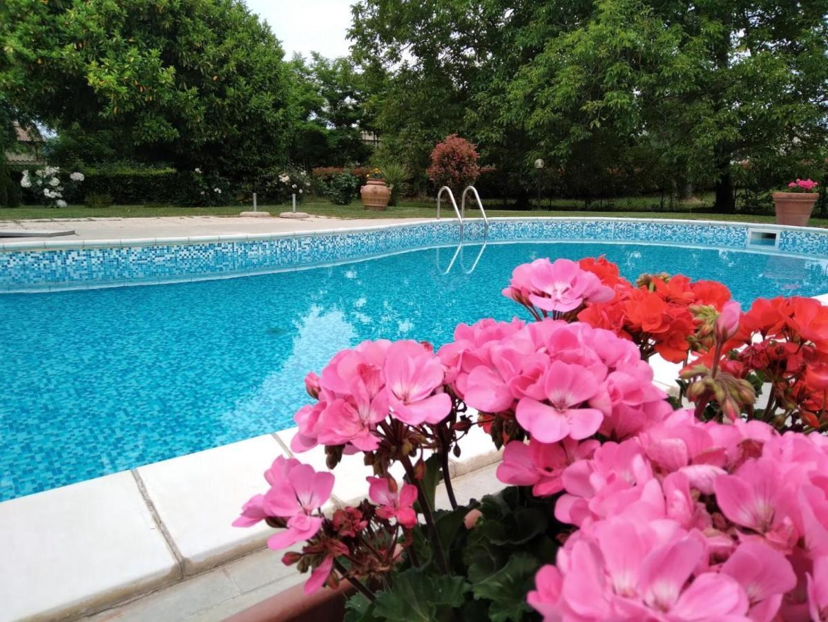 Agriturismo Le Chicche Di Mafalda มอนเตเมราโน ภายนอก รูปภาพ